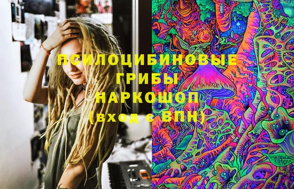 мдпв Армянск
