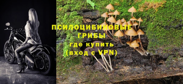 PSILOCYBIN Арсеньев