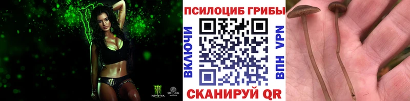 сайты даркнета телеграм  Суджа  Галлюциногенные грибы GOLDEN TEACHER  цена наркотик 